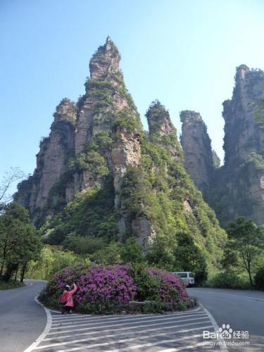 逗比遊玩湖南張家界之——張家界國家森林公園