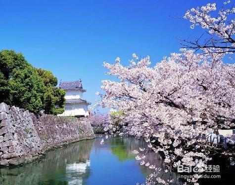 首爾周邊旅遊景點 尋覓城市邊緣的世外桃源