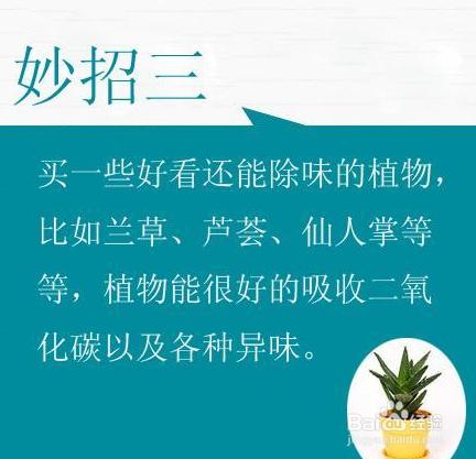 新房裝修後如何除甲醛?