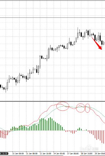 如何用MACD指標在外匯市場穩健獲利？