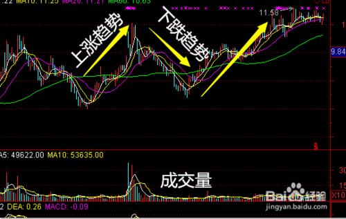 新手必須要了解的股票入門基礎知識