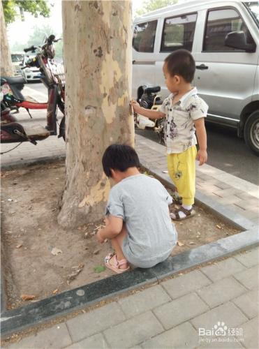 孩子該怎麼上親子課、半托、全託、幼兒園？