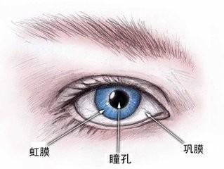 Taimeopt:吃貨福利：如何靠吃提高視力