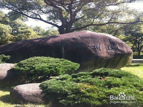 靜謐中的秀麗：杭州花圃旅遊攻略