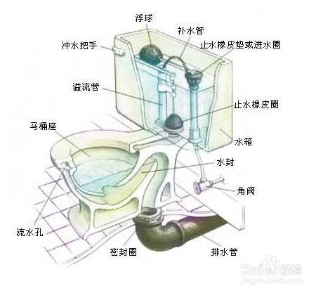 家庭中如何讓節約用水？