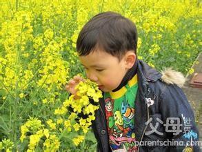 怎麼輔導小學生寫作文