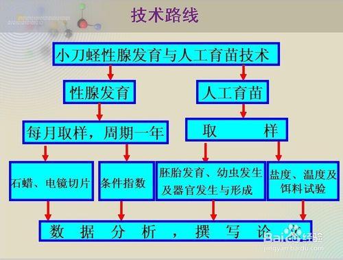 優秀開題報告ppt應具備的特點