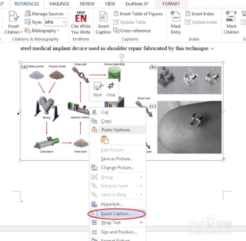 Word2013(英文版)圖表目錄生成