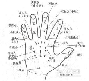 省時省力地預防老年痴呆的方法 —— 上肢運動