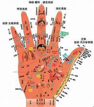 省時省力地預防老年痴呆的方法 —— 上肢運動