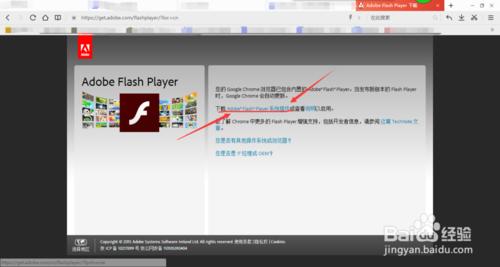 怎麼更新Flash player