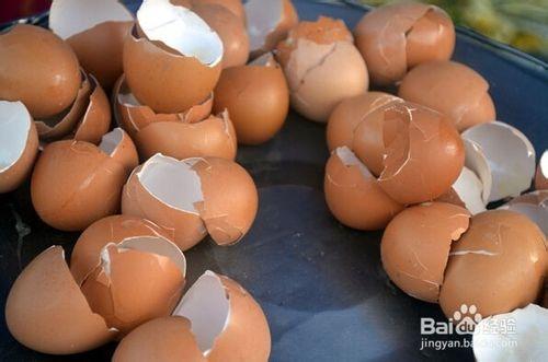 如何妙用雞蛋殼，雞蛋殼的作用有哪些？