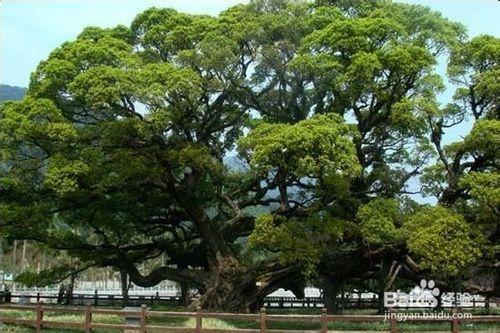 福州遊玩景點地區