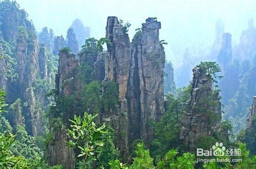 重慶到張家界旅遊線路