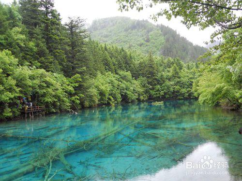 四川成都——讓你流連忘返的地方