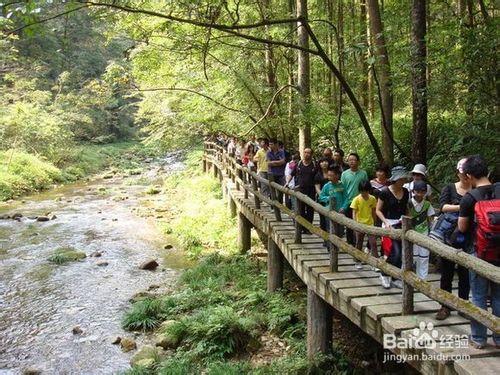 上海到張家界自助遊