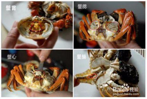 螃蟹怎麼吃？吃螃蟹攻略