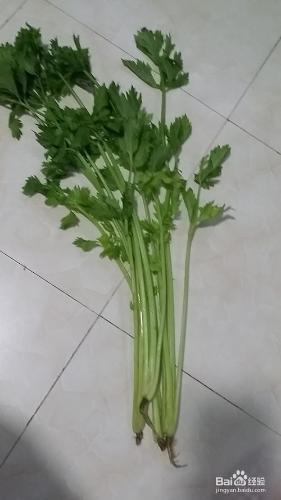 芹菜炒肉絲？？？