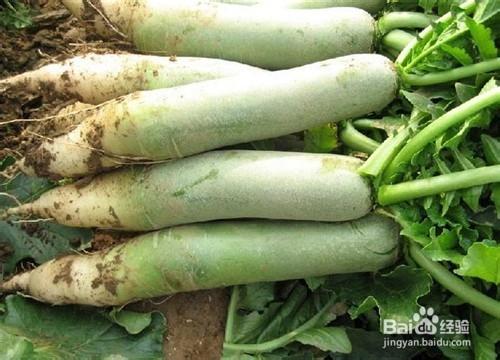 怎樣識別挑選新鮮蔬菜