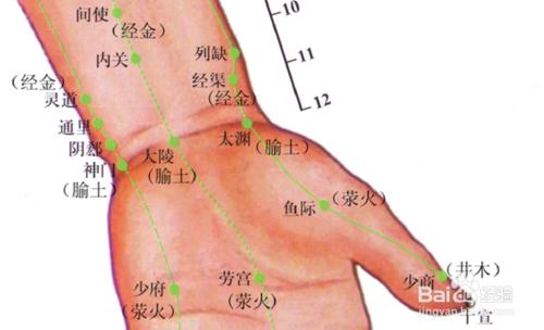 手厥陰心包經圖解