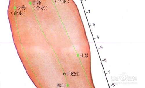 手厥陰心包經圖解