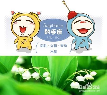 給不同星座/十二星座女生送什麼類型的花