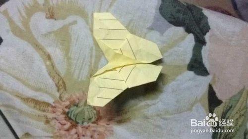 摺紙：簡單蝴蝶