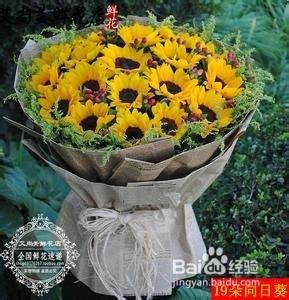 花語－送花指南：情人節出了送玫瑰還能送什麼？