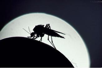 蚊子會咬什麼樣的人？