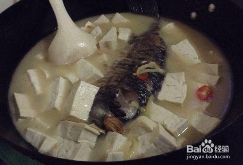 鯽魚豆腐湯的作法