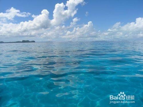 國外旅遊目的地推薦：[6]潛水勝地—帕勞