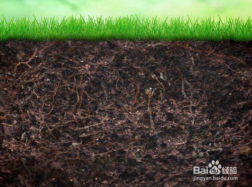 施肥應注意土壤酸鹼性