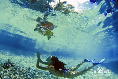 國外旅遊目的地推薦：[6]潛水勝地—帕勞