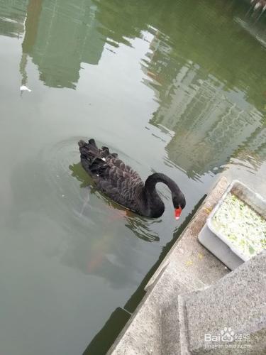 上海徐家彙公園一日遊