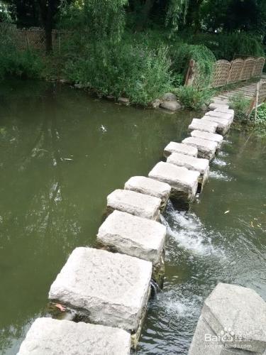 上海徐家彙公園一日遊