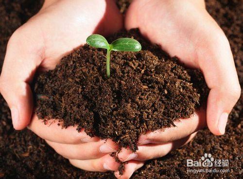 施肥應注意土壤酸鹼性