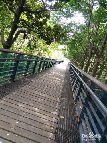 上海徐家彙公園一日遊