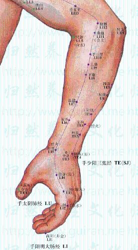 常見病便祕：[2]溼熱內蘊型的針刺療法