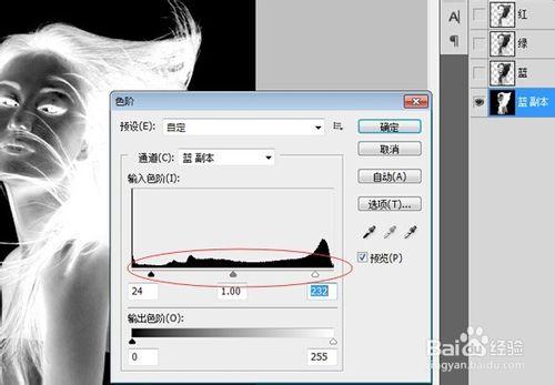 PS中如何利用通道進行摳頭髮的教程