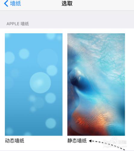 iPhone6S桌面壁紙設置，蘋果6S桌面壁紙怎麼搞