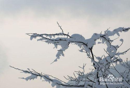 成都旅遊攻略 去看看西嶺雪山