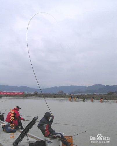 釣魚技巧 春季釣鯉魚的經驗