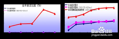 同仁堂冬蟲夏草膠囊