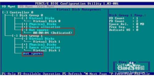 DELL 服務器配置Raid的步驟