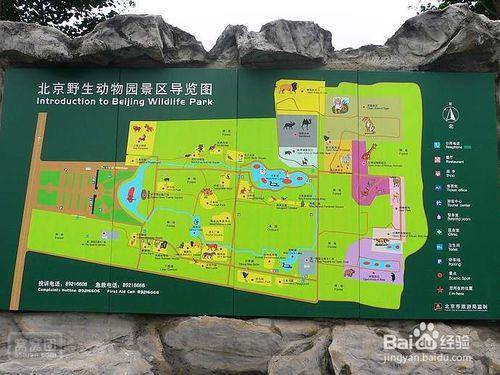 玩轉北京野生動物園