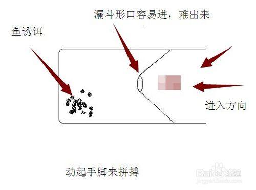 如何製作簡易捕魚、蝦工具？野外實用技巧