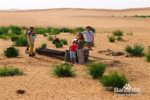 如何在沙漠中取得水資源