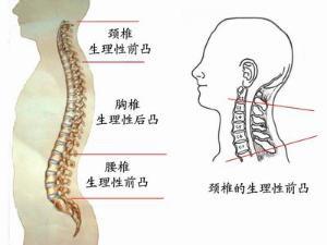 如何保養你的頸椎？