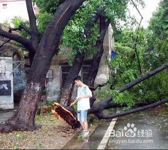 夏季雷雨天氣應該注意什麼？