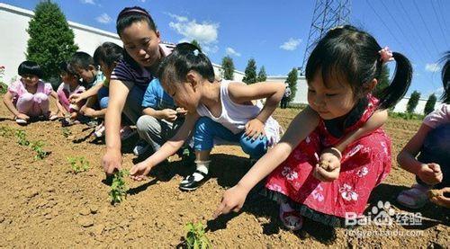 教育幼兒園的孩子應該注意哪些問題